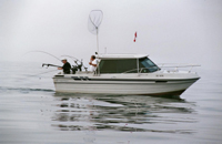 Grear clm waters of port hope produced another fantastic day on the Lake