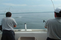 Keith fights a Rainbow  trout  as we  watch it jumping at the back of the boat 